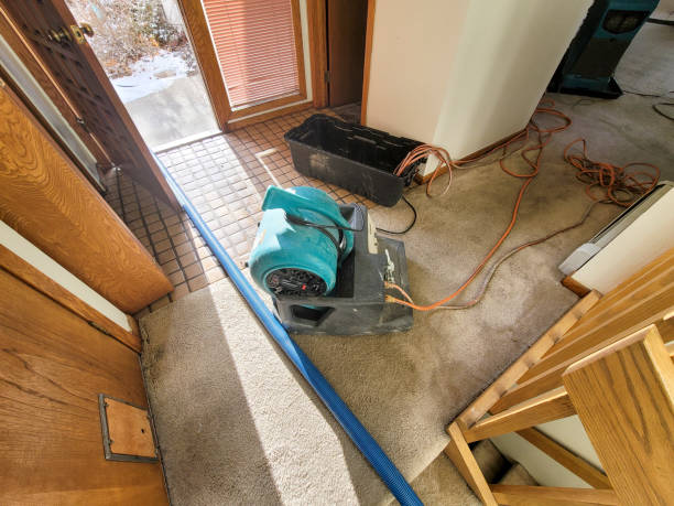 Best Emergency water damage restoration  in Dickson, OK