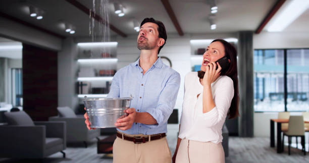 Best Water damage cleanup near me  in Dickson, OK