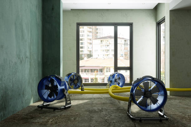 Best 24/7 water damage repair  in Dickson, OK